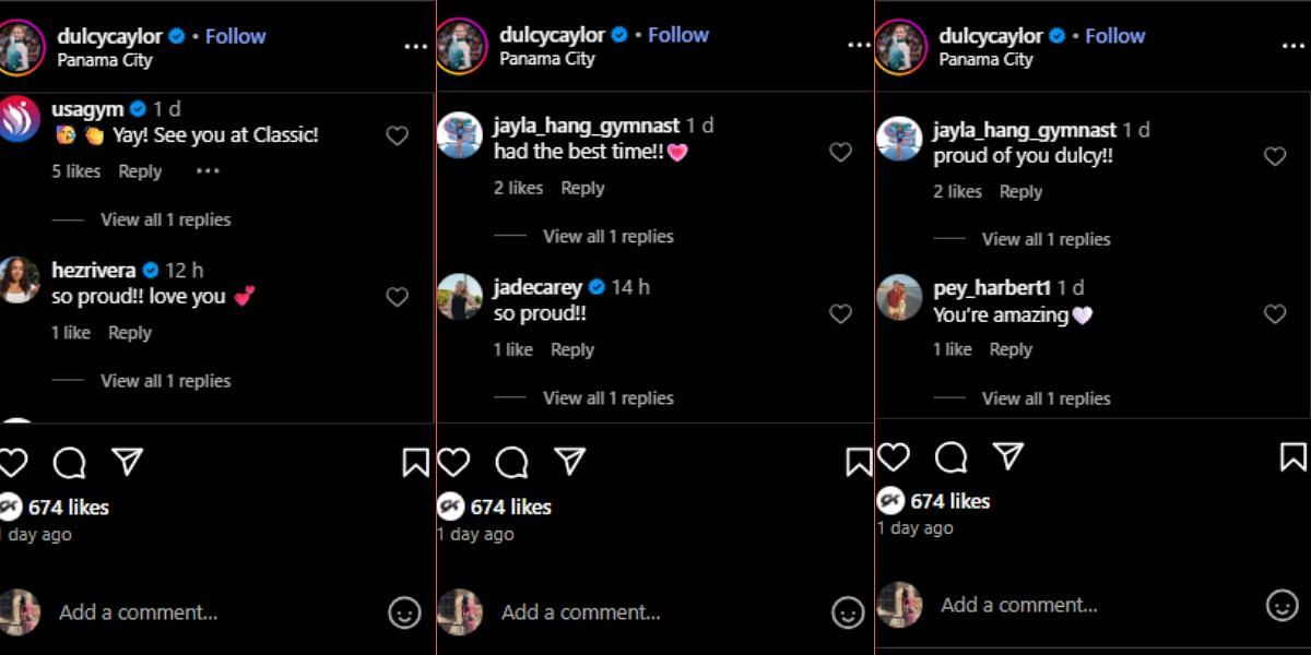 Screenshot of the Instagram post's comment section.